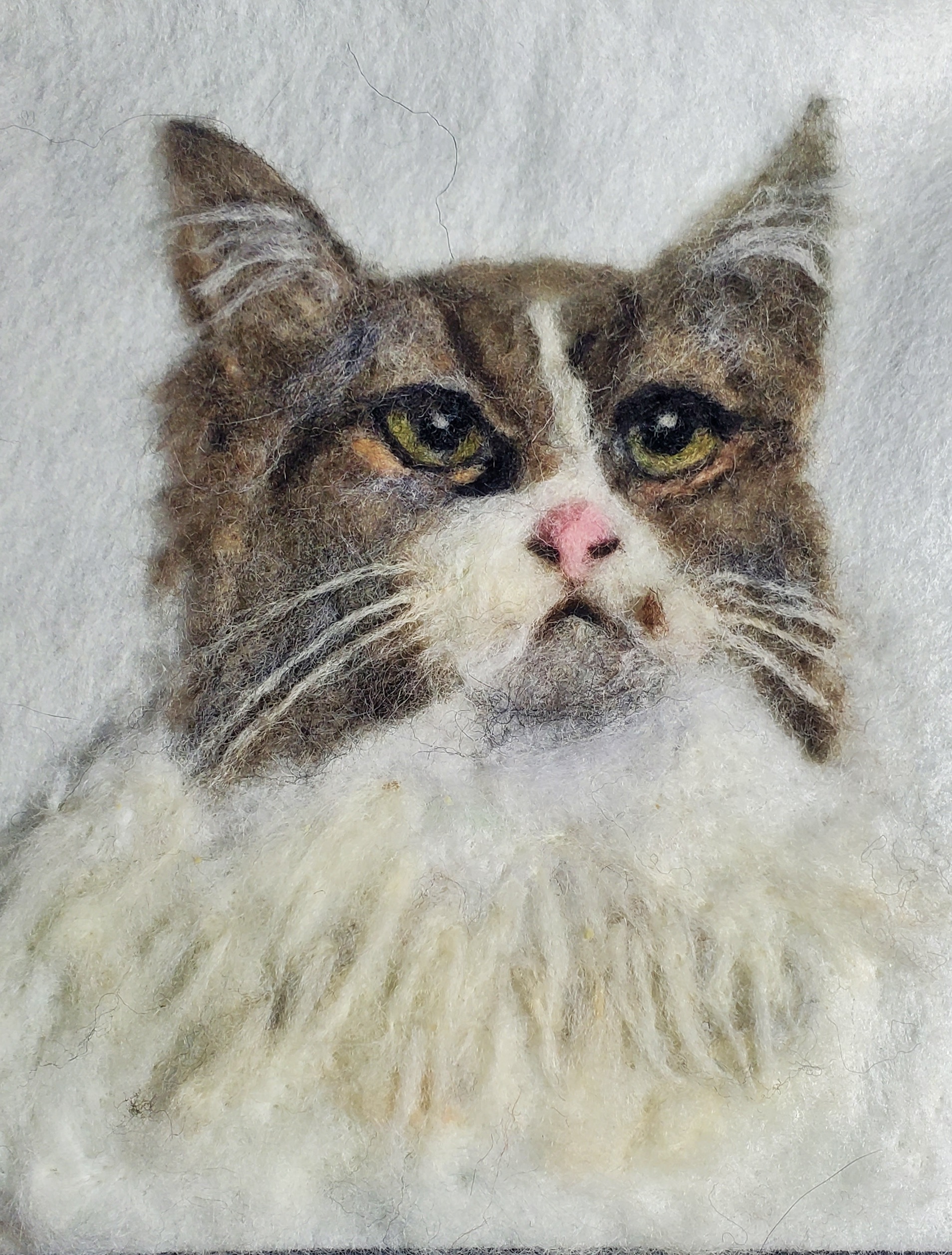 wool potrait of a white and light brown Long-haired cat